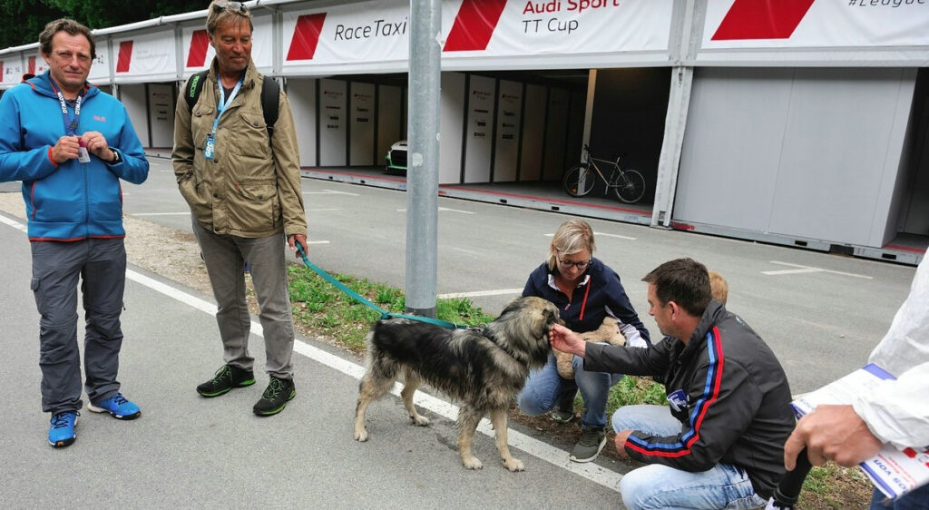 PreciselyWhite-Volume-1-Bilster-Berg-Altfrid-Heger-Porsche-Carrera-Cup-2699